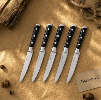 6-Piece German Stainless Steel Serrated Steak Knife Set ready to elevate everyday dinners with classic steel style