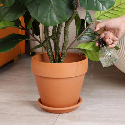 Essential Large Terracotta Clay Flower Pot w/Matching Saucer