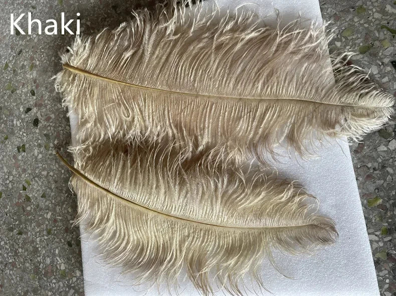 Modern Nordic Ostrich Feather Luxury Floor/Table LED Lamp 