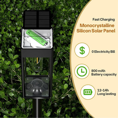 4-Piece  Bright Solar Powered Pathway Lights