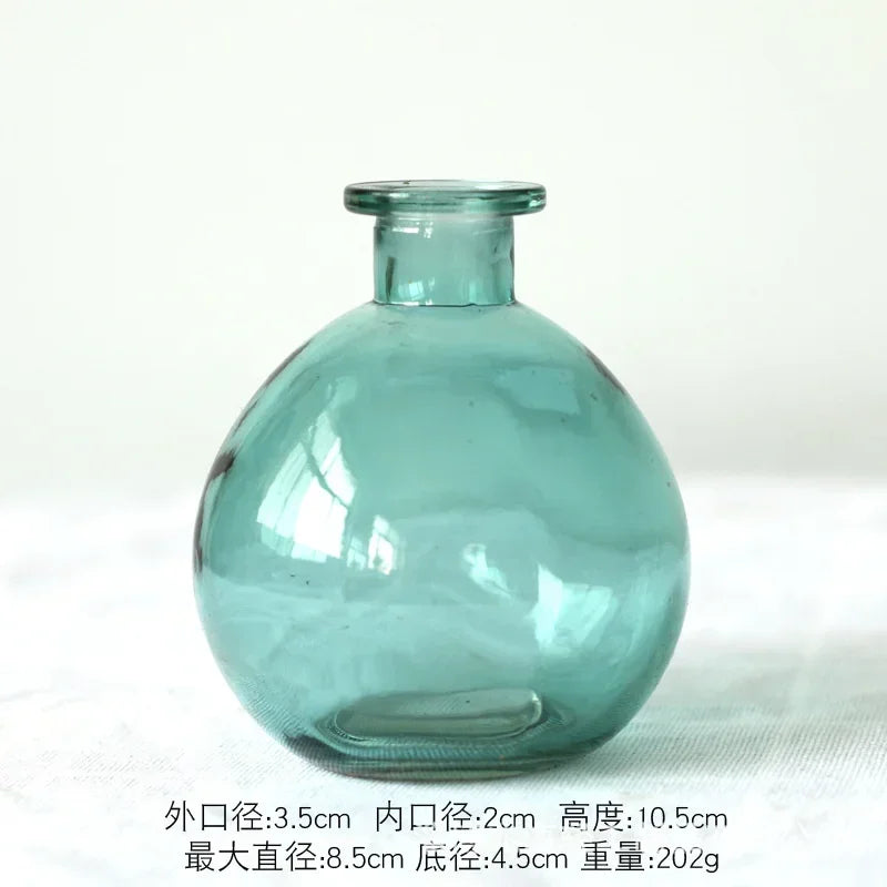 Modern Decorative Small Fresh Flower Glass Tabletop Vases