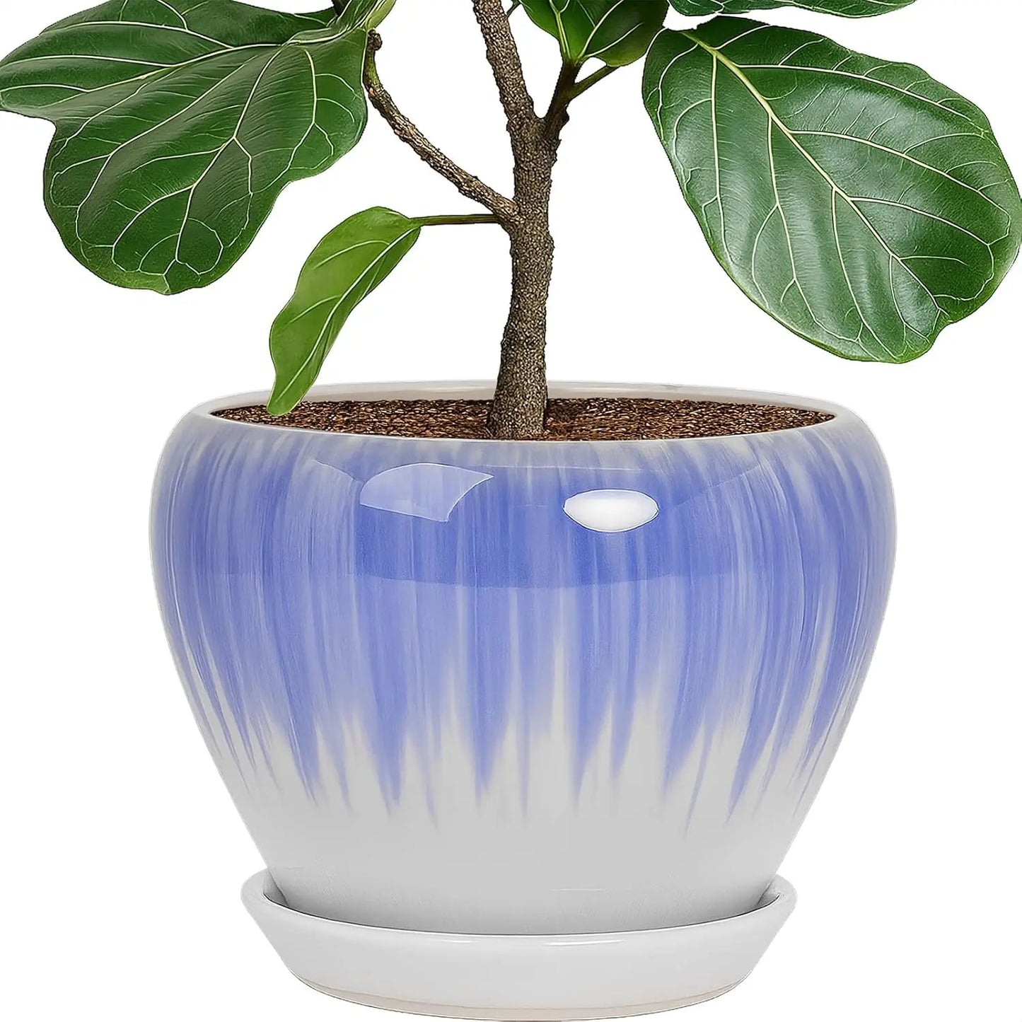 Modern Decorative Round Ceramic Flower Pot 
