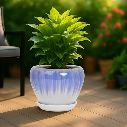 Modern Decorative Round Ceramic Flower Pot 