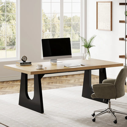 Modern Simple Style Executive Large Computer Desk