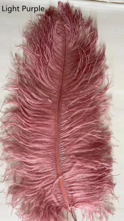 Modern Nordic Ostrich Feather Luxury Floor/Table LED Lamp 