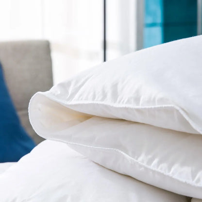 All-Season King Size Goose Down Comforter(duvet insert)