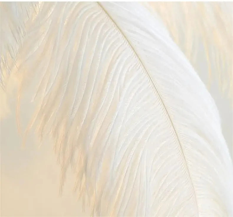 Modern Nordic Ostrich Feather Luxury Floor/Table LED Lamp 