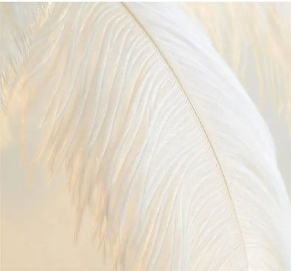 Modern Nordic Ostrich Feather Luxury Floor/Table LED Lamp 