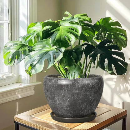 Elegant Indoor Gray Marble Ceramic Plant Pot 