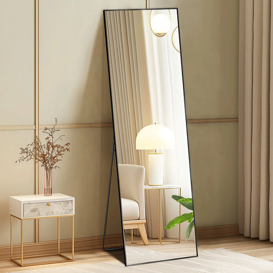 Simple & Modern 64" Tall Full Body Wall Mirror
