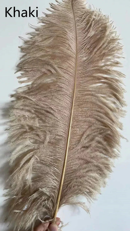 Modern Nordic Ostrich Feather Luxury Floor/Table LED Lamp 