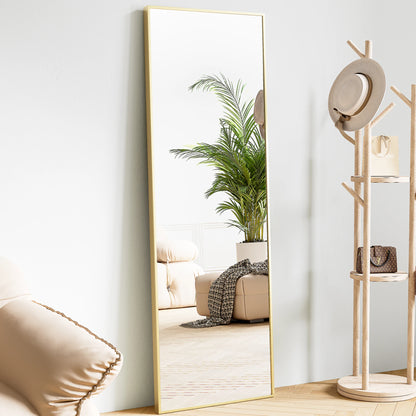 Simple & Modern 64" Tall Full Body Wall Mirror