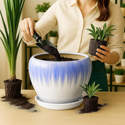Modern Decorative Round Ceramic Flower Pot 