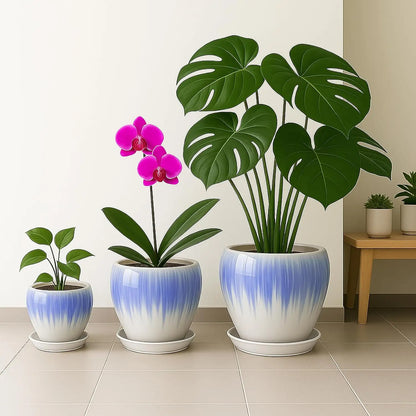 Modern Decorative Round Ceramic Flower Pot 